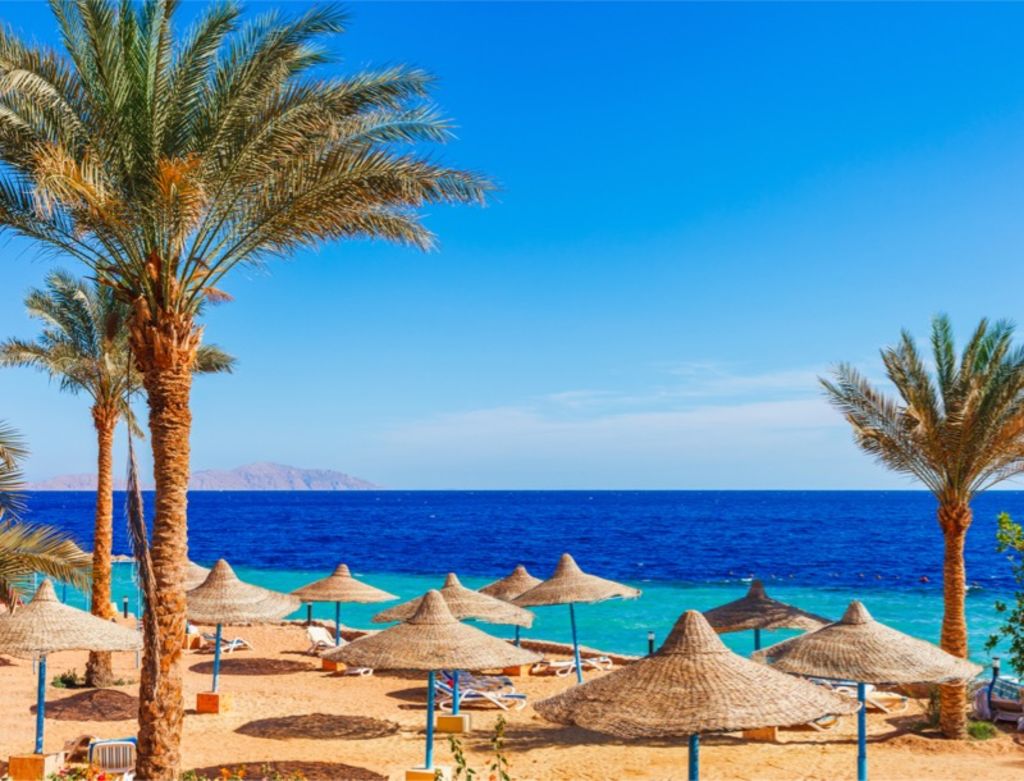 Hurghada Ägypten Meer Palmen